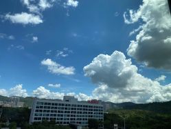 -MuseMarry婚纱(前海嘉里中心店)