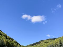 -塞罕坝国家级自然保护区