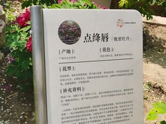 -太阳宫公园