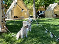 -意大利农场度假村