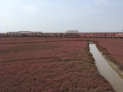 -红海滩国家风景廊道