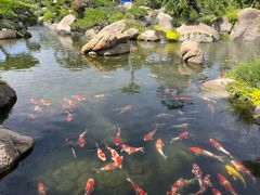 -罗红摄影艺术馆