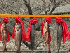 -爱新觉罗皇家博物院