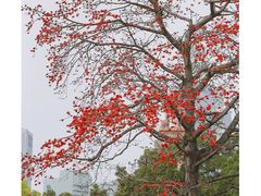 广州少儿图书馆-南越王博物院(王宫展区)