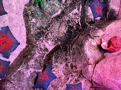 -沈阳海洋探索中心