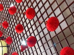 -柏合黄记豆腐皮饭店