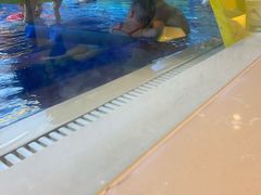 -海帆亲子游泳(顺义店)
