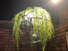 大堂-通海俄式烧烤(下瓦房店)
