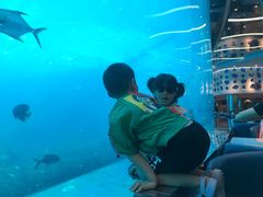 -瑞德姆美人鱼海底演艺主题餐厅(亚龙湾店)