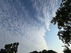 -宜兴龙背山森林公园