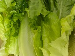 -罗记又添缘竹荪山药鸡·野生菌火锅(西园南路店)