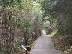 -游子山休闲旅游区