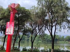 -飞来湖湿地公园