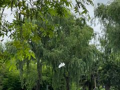 -东湖景区