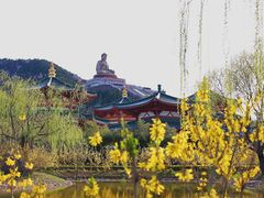-龙口南山旅游景区