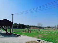 -嘉北郊野公园