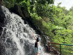 -呀诺达热带雨林