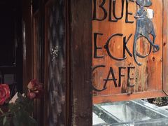 -蓝壁虎咖啡酒馆