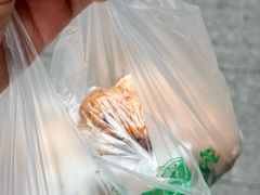 -六广门毛阿姨糯米饭
