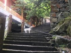 -藏龙百瀑风景区