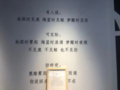 -成都失恋馆