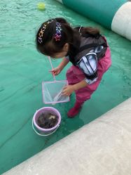 -小蜜蜂农场(凯德七宝购物广场店)