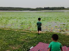 -丁香湖公园