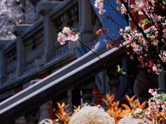 -上海交通大学医学院附属瑞金医院(总院)