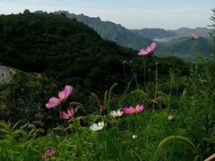 -定都峰