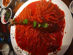 金毛狮子鱼-丹江渔村(望京店)