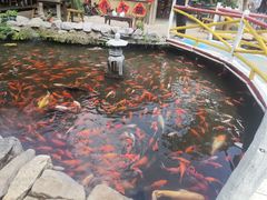 -竹泉村旅游度假区