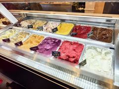 -Patagonia Chocolates(皇后镇店)