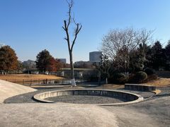 -春花秋色城市公园