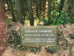 -径山寺
