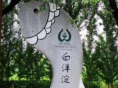 -白洋淀景区