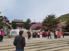 -石岛赤山风景区