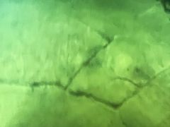 -白鹤梁水下博物馆