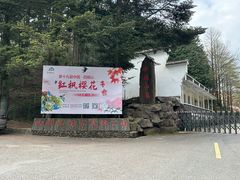 -四明山国家森林公园