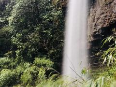 -龙苍沟森林公园