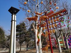 -青龙湖公园