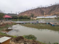 -将军陂美食山庄·瓦缸炭烧鸡