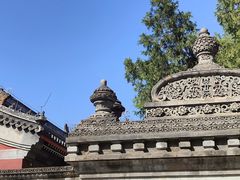 -北京艺术博物馆(万寿寺)