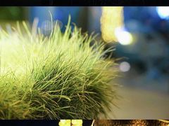 -庄子梦然·城市微度假·24h按摩·推拿·spa