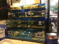 -Sasa的海(蜈支洲岛后海店)