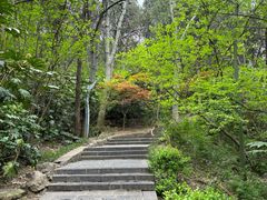 -云龙山