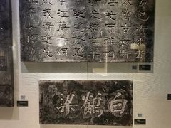 -白鹤梁水下博物馆