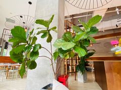 -The Rug Cafe(王府中环店)