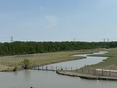 -溱湖国家湿地公园