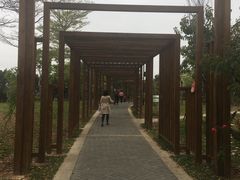 -福田红树林生态公园