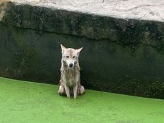 -常州淹城野生动物世界